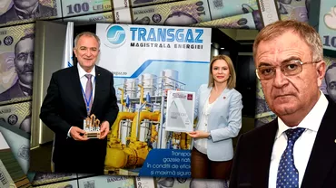 Ce avere colosala a strans seful Transgaz Ion Sterian Directorul companiei are 35 de hectare de teren si milioane de lei in conturi