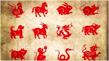 Zodiac chinezesc pentru luni 20 noiembrie 2023 Succes urias pentru Sarpe