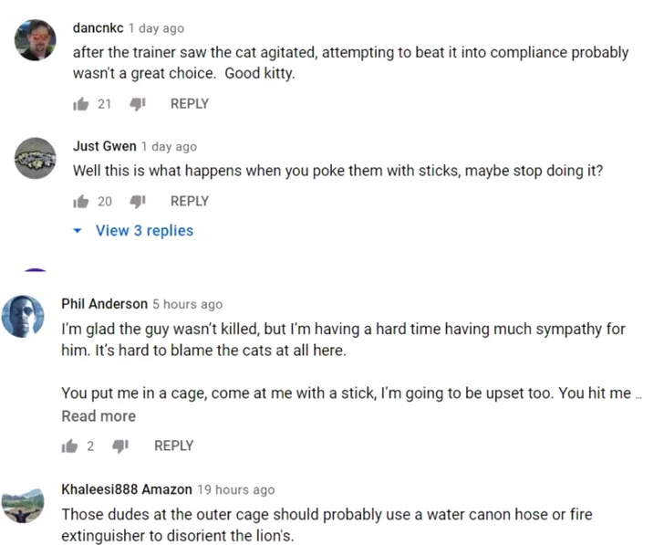 Comentarii la videoclipul unde un dresor este atacat de o leoaică
