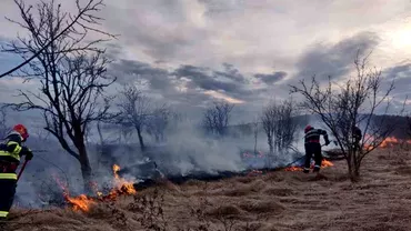 Incendii de vegetatie in Dolj si Prahova Ard zeci de hectare si in Teleorman Trafic oprit Update