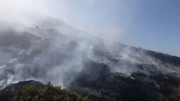 Incendiu de vegetatie pe Muntele Gaina Flacarile au distrus un hectar de afinis si brusturi
