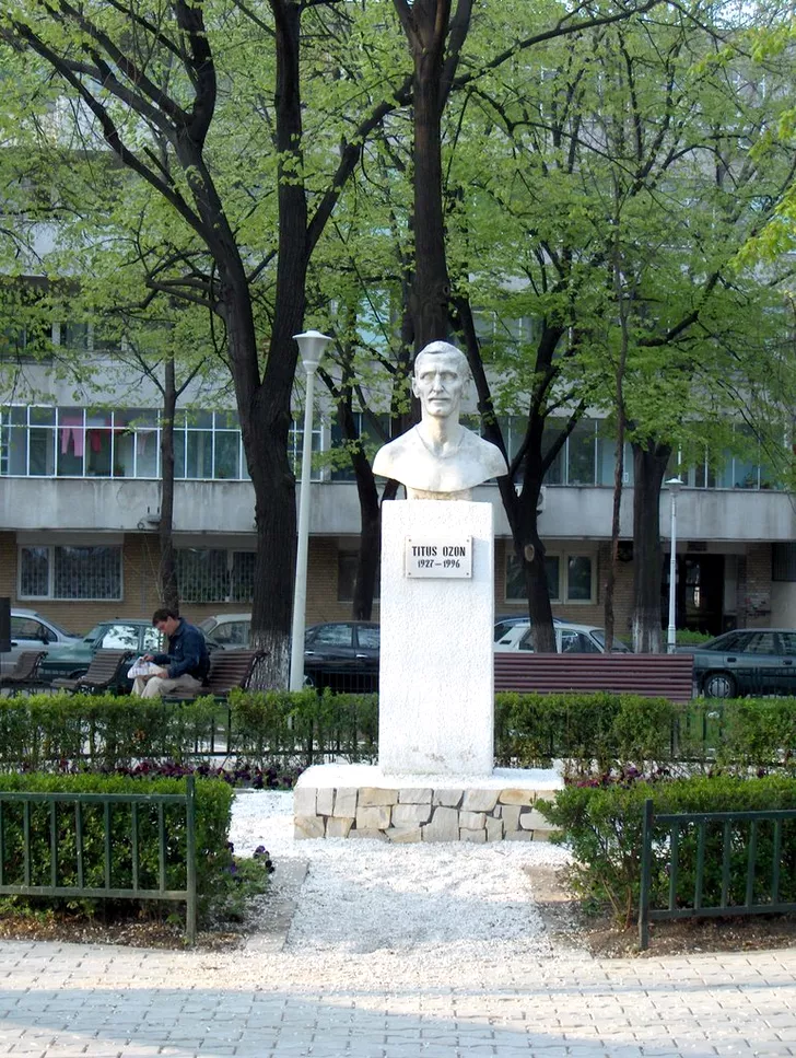 Titus Ozon a fost onorat de primăria Sectporului 2 cu un bust în parcul care-i poartă numele lângă Gara de Est (Gara Obor), pe locul unde era odinioară stadionul Unirii Tricolor