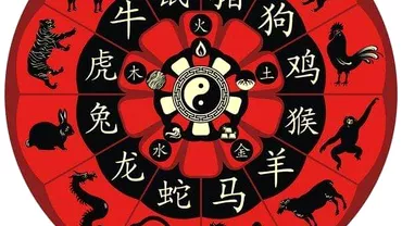 Zodiac chinezesc pentru joi 23 decembrie 2021 Bivolul se confrunta cu o situatie financiara dificila