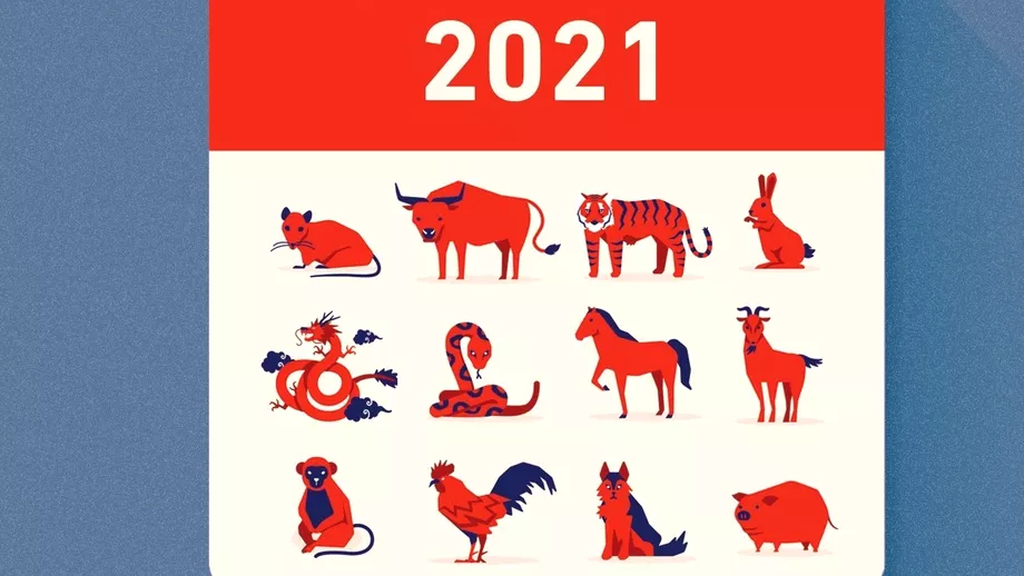 Zodiac chinezesc pentru marti 28 decembrie 2021 Calul primeste o propunere de job