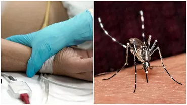 Cum se transmite de fapt malaria boala care a rapuso pe Camelia Tise Cele mai predispuse persoane