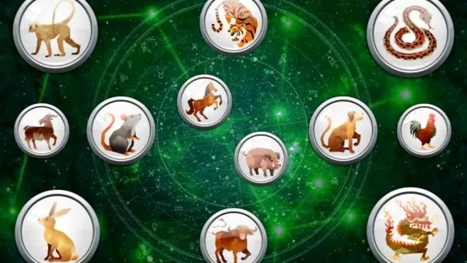 Zodiac chinezesc pentru marti 13 februarie 2024 Bani pentru Dragon Maimuta vrea o schimbare