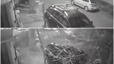Un copac a cazut peste doua masini parcate in Bucuresti Imaginile surprinse de camerele de supraveghere