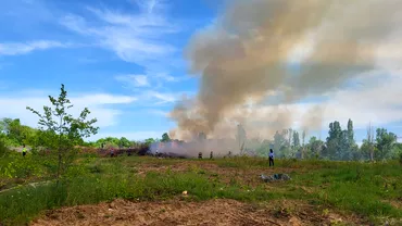 Incendiu puternic in parcul Grozavesti din Capitala A fost trimis mesaj RoAlert Ce acuze aduce primarul Ciprian Ciucu