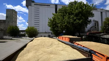 PSD cere interzicerea importului de cereale din Ucraina Partidul lui Marcel Ciolacu a trimis o adresa oficiala catre MAE