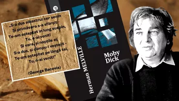 Nichita Stanescu 90 de ani de la nastere Cititorul dincolo de poet intre Bacovia Moby Dick romanele politiste si unicul Eminescu