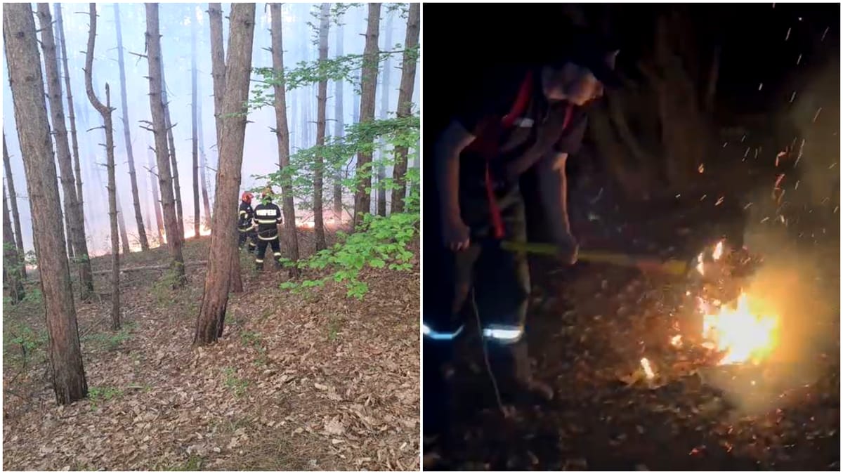 O pădure din Cluj arde de mai bine de o zi, iar pompierii se luptă cu flăcările încă de atunci. Zece hectare sunt afectate