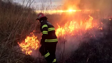 Incendiu urias in Delta Dunarii Focul sa extins pana in apropierea gospodariilor