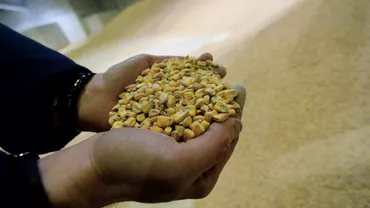 Dunarea gura de oxigen pentru economia Ucrainei Record de cereale exportate sambata prin porturile fluviale