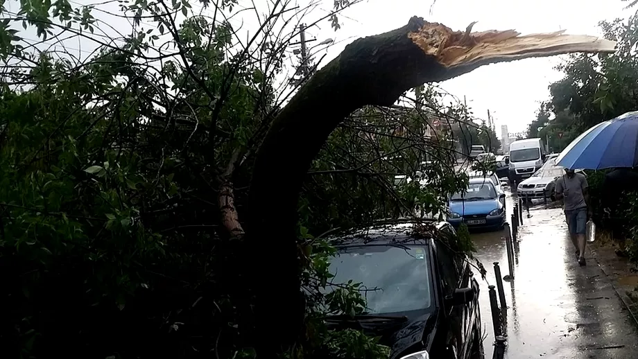 Vremea a facut ravagii in Bucuresti si alte 8 judete in ultimele 24 de ore Copaci doborati masini avariate si spatii inundate