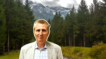 Reteaua de afaceri a sefilor din Romsilva Directorul companiei de stat imprumuturi de sute de mii de euro de la un patron din industria lemnului Update reactia Romsilva