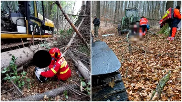 Un barbat de 53 de ani a murit intro padure din Suceava A fost lovit in cap de arborele pe care il taia