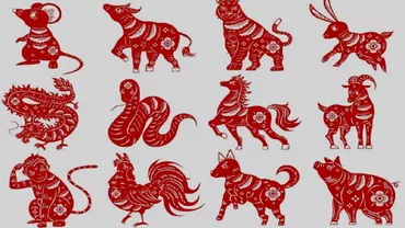 Zodiac chinezesc pentru sambata 20 aprilie 2024 Serpii siar putea face inamici