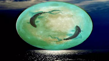 Luna Plina in zodia Pesti pe 10 septembrie 2022 Fecioarele au noi teluri