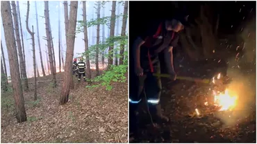O padure din Cluj arde de mai bine de o zi iar pompierii se lupta cu flacarile inca de atunci Zece hectare sunt afectate