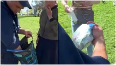 O fetita de 2 ani a primit o briosa cu otrava de sobolani intrun parc Micuta a muscat din ea Video