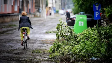 Dezastru in Satu Mare Furtuna puternica doboara copaci si blocheaza strazi