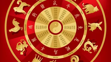 Zodiac chinezesc pentru sambata 19 noiembrie 2022 Sarpele afla un adevar important