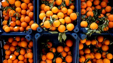 Carrefour retrage de la vanzare tone de portocale cu pesticide Inspectorii sanitari au gasit si o eroare de etichetare