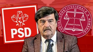Toni Grebla favoritul celor de la PSD la sefia AEP Va fi responsabil de finantarea partidelor