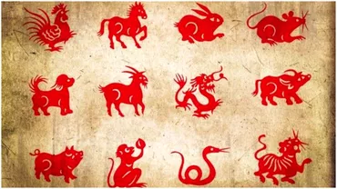 Zodiac chinezesc pentru luni 15 august 2022 Maimuta gaseste persoana potrivita