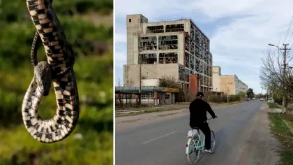 Orașul din România care sperie turiștii de pe Reddit. Ce au surprins jurnaliștii...