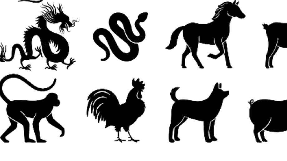 Zodiac chinezesc pentru miercuri 29 iunie 2022 Probleme in cuplu pentru cai