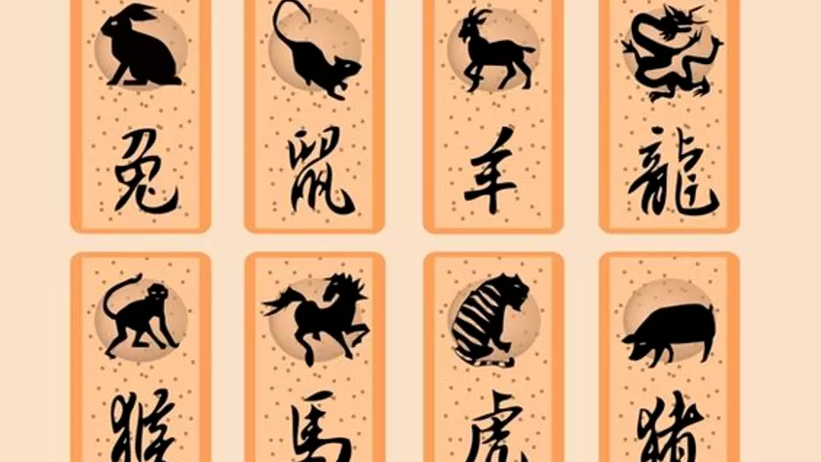 Zodiac chinezesc pentru duminica 6 iunie 2021 Calul este deranjat de atitudinea celor din jur