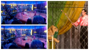 Un leu sia atacat dresorul in timpul unui spectacol de circ din Rusia Clipul sa viralizat imediat