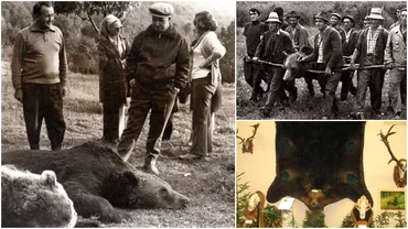 Nicolae Ceausescu record mondial in privinta vanatului la ursi Cum a ucis un exemplar crescut in cusca si a devenit legenda