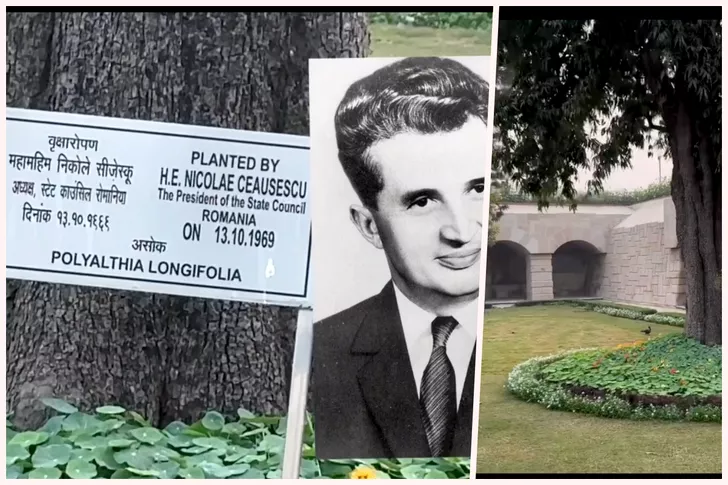 Dan Negru l-a ”descoperit” pe Nicolae Ceaușescu în timpul vizitei sale din India. Sursă foto: Instagram / colaj Fanatik