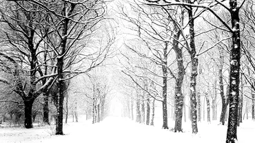 Cand va ninge prima oara in Romania Iarna 2023  2024 vine mai repede Meteorologii Accuweather anunt surprinzator