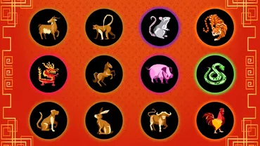 Zodiac chinezesc pentru miercuri 28 februarie 2024 Oportunitate pentru Tigru Calul are parte de tensiuni