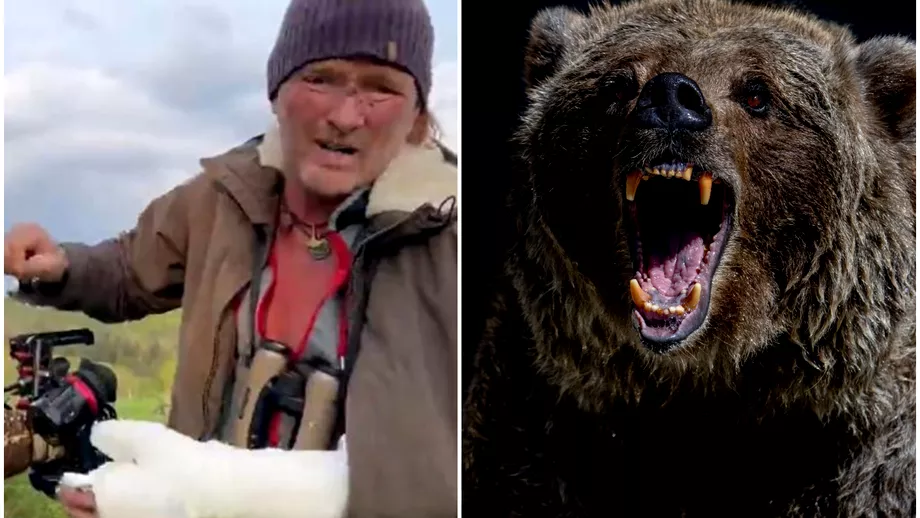 Un regizor german atacat de urs in timp ce filma documentare in Muntii Carpati Sa intamplat incredibil de repede