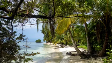 Ei sunt turistii blocati in Paradis Au ramas pe o insula din Caraibe de luni intregi Femeia a nascut pe plaja