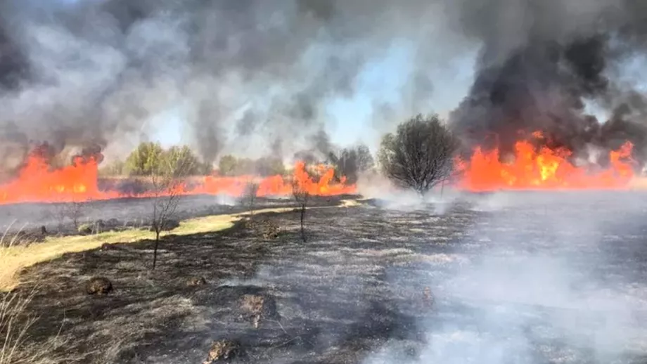 Video Un nou incendiu in Delta Vacaresti Pompierii intervin cu 11 autospeciale de stingere Exista pericol de propagare Update