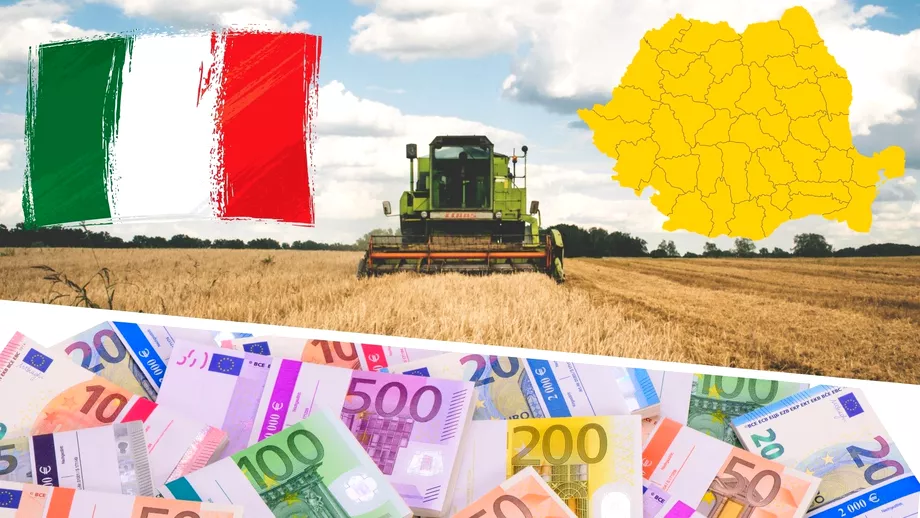 Cum au ajuns italienii să aibă cel mai mult teren agricol în România. Autoritățile ridică din umeri