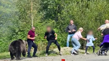 Turisti atacati de urs pe Transfagarasan Au vrut sasi pozeze copiii cu animalul salbatic