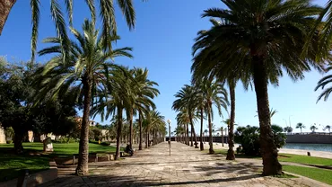 Ce a patit un roman in Palma de Mallorca Avertisment pentru toti turistii Insula e plina de talhari