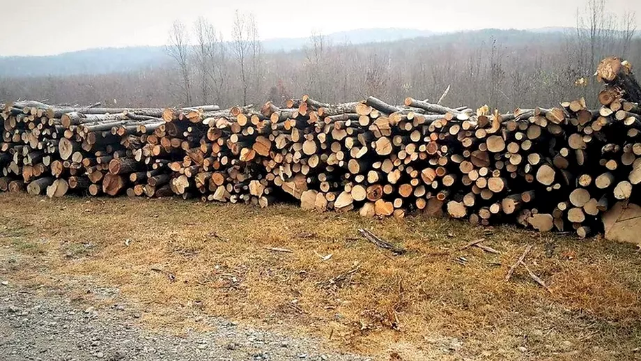 Dezbatere cruciala in Parlament despre lemnele de foc Trei milioane de familii depind de asta