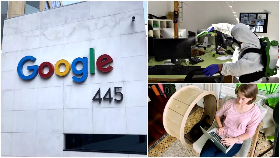Google se razgandeste si isi mai tine angajatii acasa Ce alte companii mizeaza inca pe munca la domiciliu