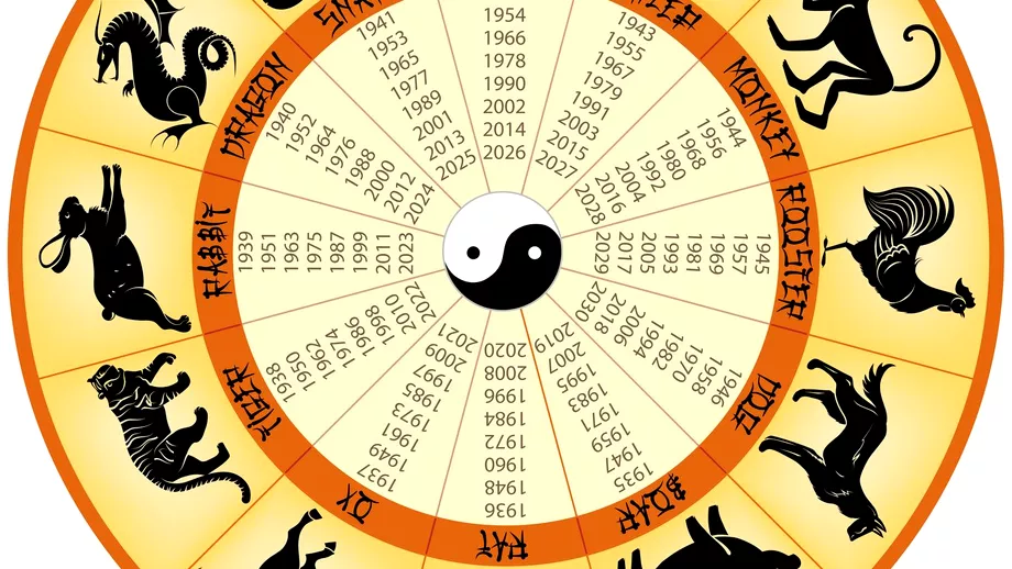 Zodiac chinezesc marti 18 mai 2021 Cocosul se bucura de succes