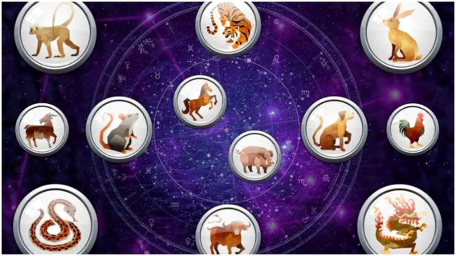 Zodiac chinezesc pentru sambata 10 decembrie 2022 Iepurele trebuie sa fie sincer