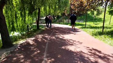 Tineri injunghiati in Gradina Botanica din Craiova O fata de 14 ani a fost ucisa un alt baiat a fost grav ranit