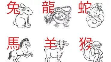 Zodiac chinezesc sambata 3 iulie 2021 Iepurele trebuie sa lucreze la organizare