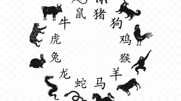 Zodiac chinezesc pentru luni 16 august 2021 Decizii importante pentru Cocosi